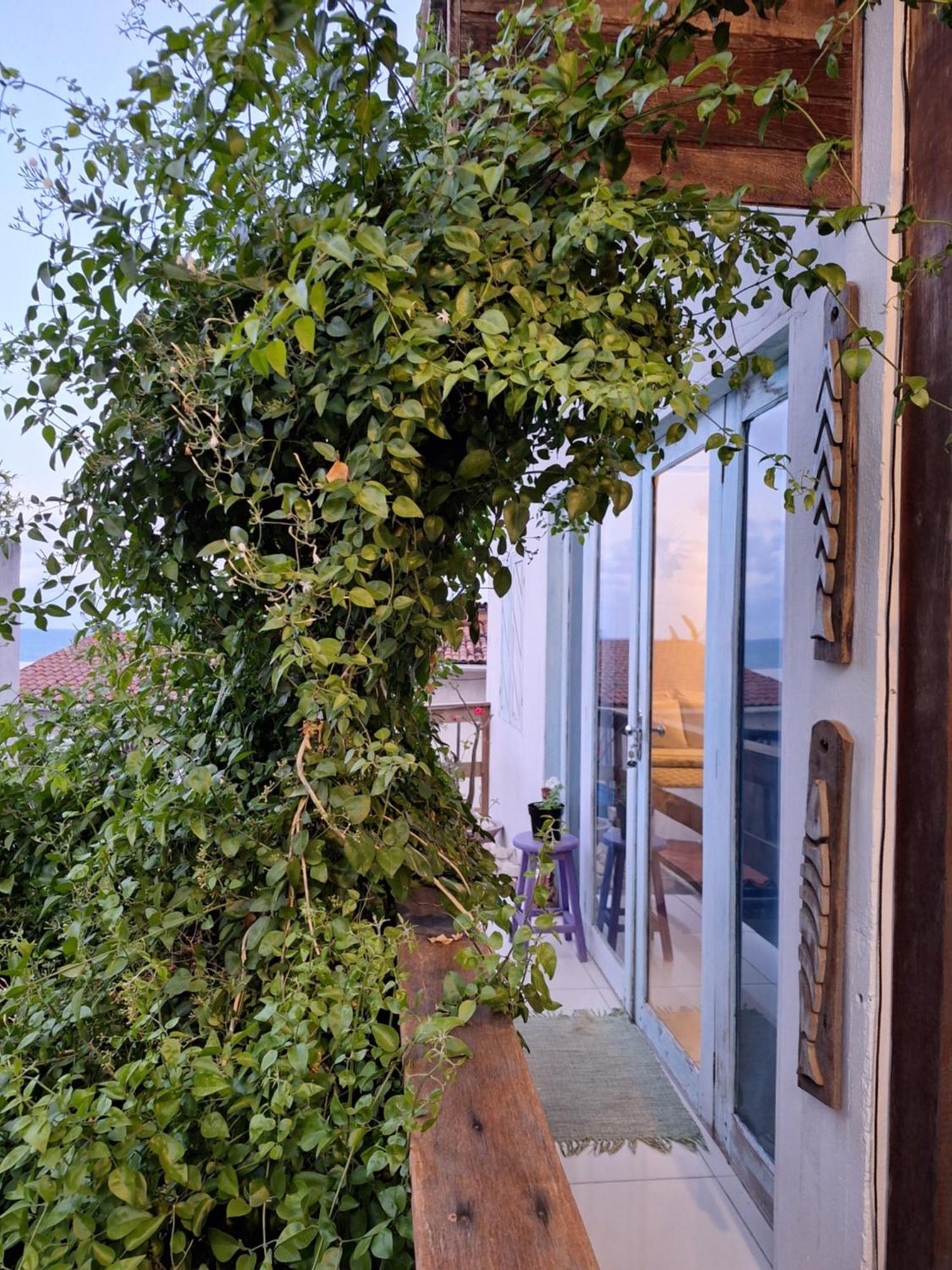 Praia de Pipa Buddha Suites מראה חיצוני תמונה